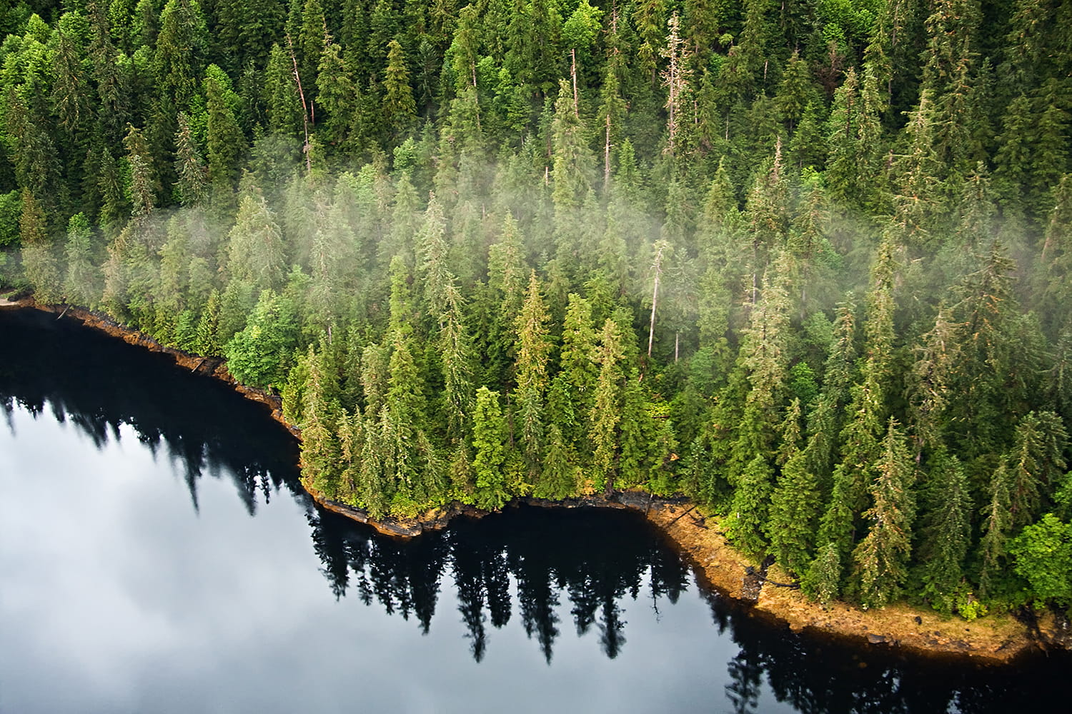 Statement by CRS Calls Proposed Trump Rule by the U.S. Forest Service a “Fiscal Nightmare”