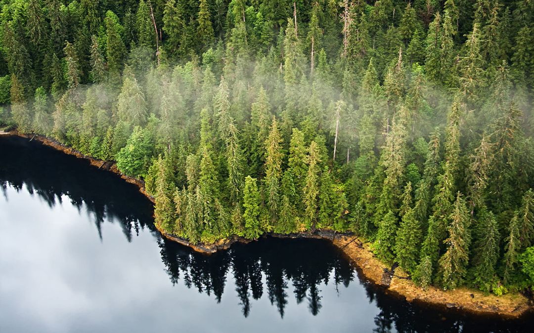 Press Release: CRS Calls Proposed Trump Rule By the U.S. Forest Service a “Fiscal Nightmare”