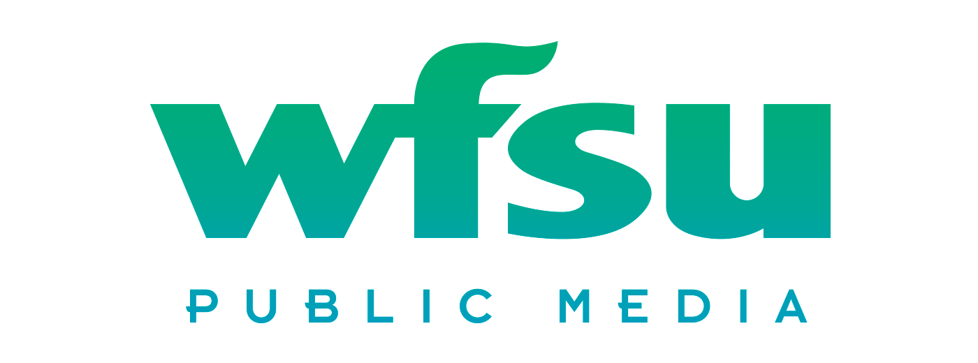 David Jenkins Hits the Airwaves in Florida to Discuss Electricity in the Sunshine State